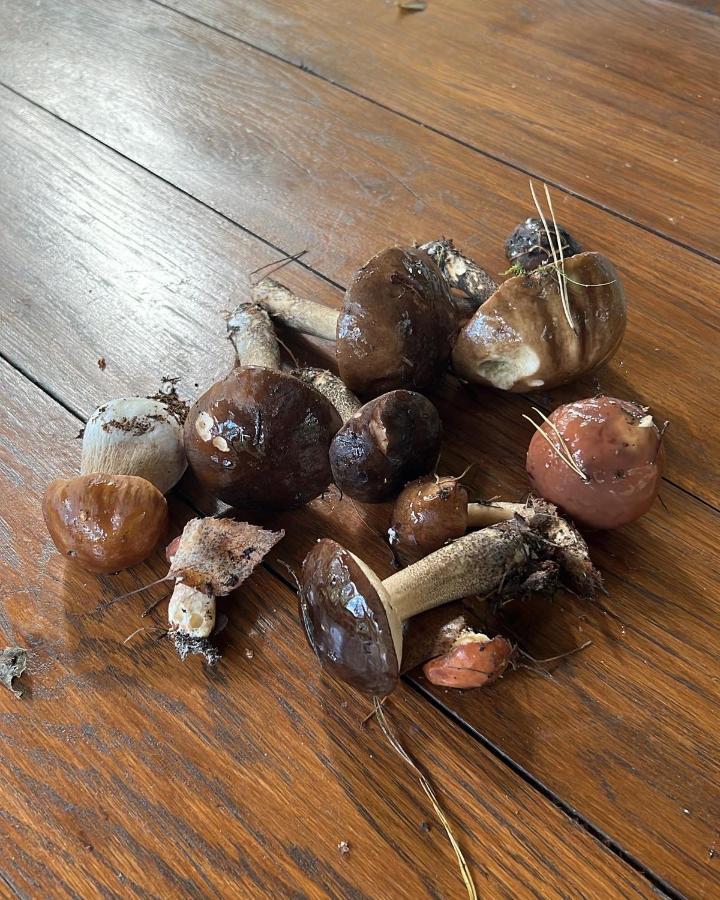 Kurort Mirowice别墅 外观 照片